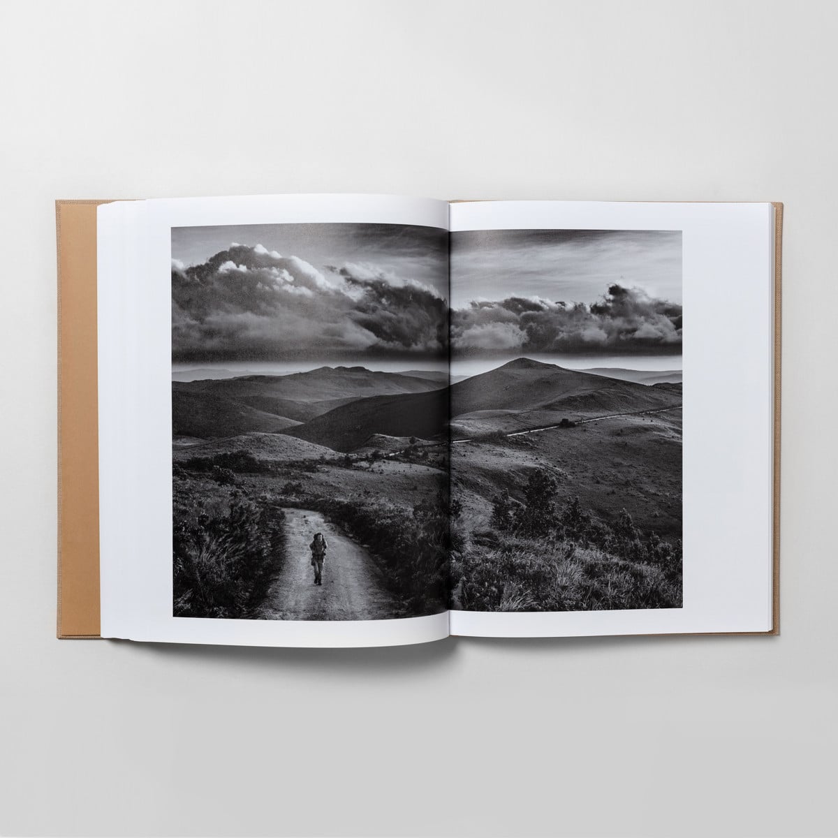 Privat Natur - Jens Assur - Image 7